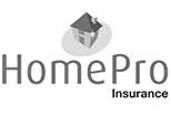 Home Pro Insurance logo